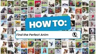 Finding the Perfect Animal Talent 🐾 | Theanimallist
