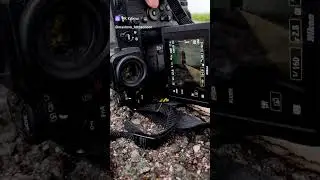 Вспышка на улице. Фотокухни по этой съемке не будет.  #фотограф #искусство