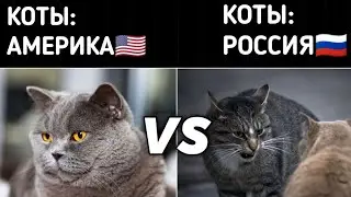 АМЕРИКА vs РОССИЯ | Приколы из Тик Тока | СМЕХ ДО СЛЁЗ😂