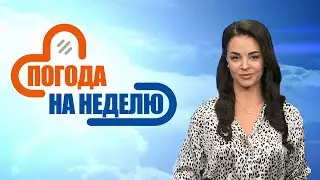 Жара возвращается! До +28°С! | Прогноз погоды с 13 по 18 августа | Погода на неделю | Плюс-минус