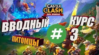 ВВОДНЫЙ КУРС №3, ПИТОМЦЫ И СУПЕР ПИТОМЦЫ, Битва замков, Castle Clash