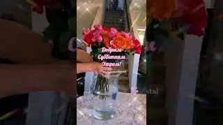 Доброе утро! Суббота! Хорошего настроения! Для Вас, мои Друзья!