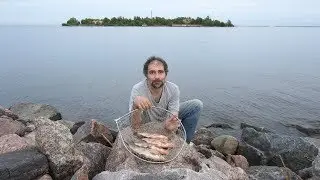 Дамба, подлещик, фидер