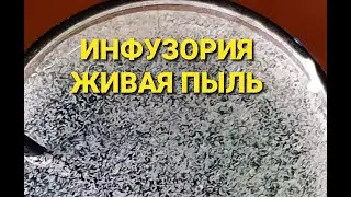 СТАРТОВЫЙ КОРМ ДЛЯ МАЛЬКА! От А до Я! Как добыть, развести, очистить и  кормить им мальков! Часть 1!