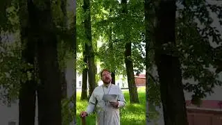 Старцы-отшельники шутят| № 1 #shorts