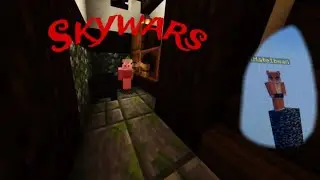 Skywars (pig n sh$tass)