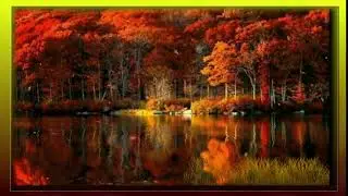 Video screensaver Autumn