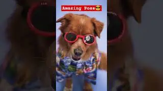 World No.1 Pose😎😎😎#shorts #funny #funnyshorts #shortsfeed #comedy #ytshorts #trending #youtubeshorts