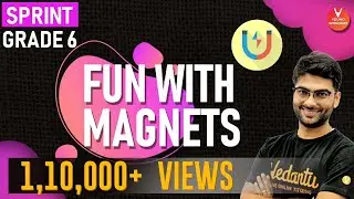 Fun with Magnets | Class 6 Science Sprint for Final Exams | Chapter 13 