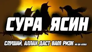 Сура Ясин. Поможет обеспечить быстрое пропитание, погасить долги, облегчить дела, ин ша Аллах !!