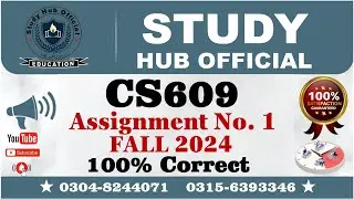 CS609 Assignment 1 Solution FALL 2024, CS609 Assignment 1 solution 2024, CS609 Assignment 1, CS609