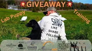 Gundog Giveaway