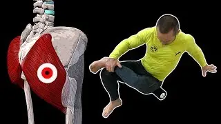 Pain in the gluteus muscle and leg 🔴 TRIGGER POINTS of the gluteus maximus muscle ⭐ SLAVYOGA