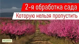 2-я обязательная обработка сада