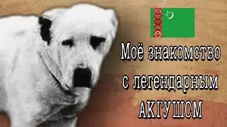 АКГУШ - великая легенда Туркмении / Последнее видео Чемпиона