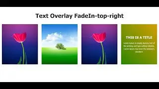 How to Create Image Overlay FadeIn Top Right Text effect and Responsive using only HTML and CSS.