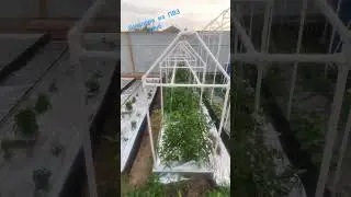 шпалера для огорода