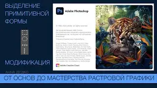 Adobe Photoshop. Урок 4. Инструменты выделения. Примитивное выделение. Модификация выделения.