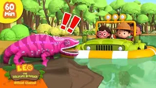 SAVE THE COLOUR-CHANGING CHAMELEON! 😱 | Exotic Reptiles! | Leo the Wildlife Ranger | Kids Cartoons