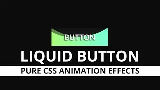 Liquid Button Animation Effects | Creative Button Animation | Web dev