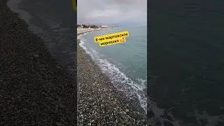Сочи сегодня 8.03.24 