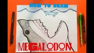 How to Draw Megalodon