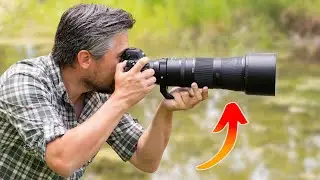 Nikon Z 180-600mm f/5.6-6.3 VR Initial Review: Nikon's BEST Wildlife Lens?!