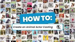 Creating Your Animal Actors Listing 🎬| The Animal List