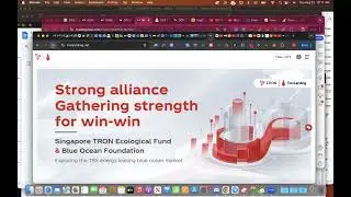TRONLENDING STEPS