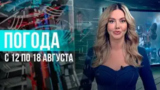 Погода на неделю 12-18 августа 2024. Прогноз погоды. Беларусь | Метеогид