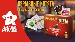 Как играть в игру 