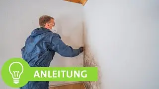 Schimmel an der Wand - Schimmel entfernen und vorbeugen