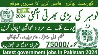 Latest government November jobs 2024 ۔ New jobs 2024 in pakistan۔Latest jobs in Pakistan 2024 today