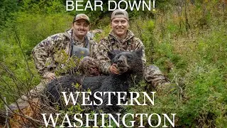 SECOND BEAR DOWN! Western WA Alpine Black Bear Hunt