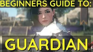 BDO Basic Guardian Guide