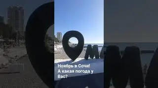 Ноябрь в Сочи. Море, пляжи в Сочи. Дом в Сочи. #домвсочи #shorts @domvsochi