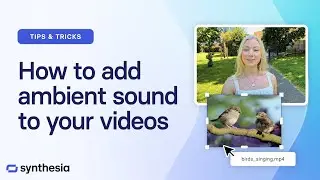 10x Your AI Videos with Ambient Sound