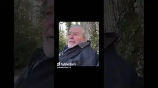Как поживал Ален Делон у себя в поместье Души  под Парижем? 