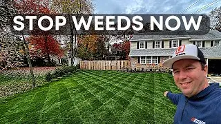 Kick-Off The Lawn Season Right With THIS Application & STOP Weeds!