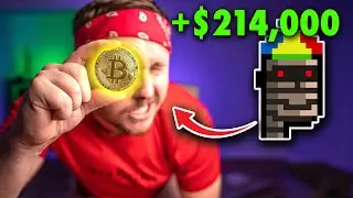 Bitcoin NFTs Are BLOWING Up! - Beginner Guide To Ordinals. What They Are & How They Work