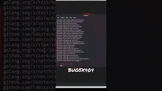 How to install ws-smuggler in Kali Linux