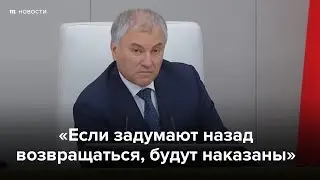 «Потребители, предатели». Спикер Госдумы — об уехавших из России