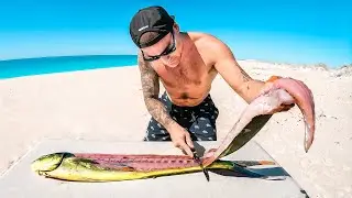 Catch And Cook With $20 Spear Gun In Deep Ocean