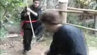 Kung Fu  CudgelVara Dragón, ejercicio en el muñeco de madera