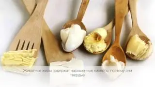 Углеводы. Липиды. АТФ