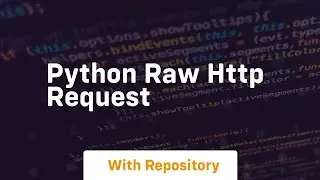 python raw http request