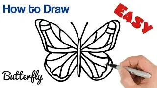 How to Draw a  Butterfly easy step by step