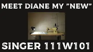 Meet Diane My "New" Singer 111W101