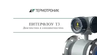 ПИТЕРФЛОУ Т3: система диагностики