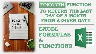 EOMONTH Function in Excel | #shorts